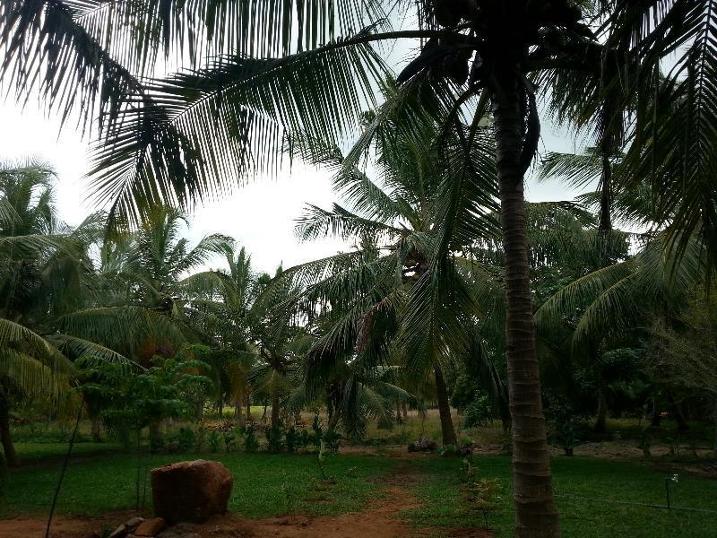 Serenity Lake Resort Yala Tissamaharama Exterior photo