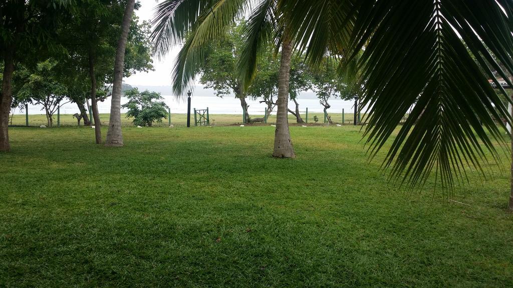 Serenity Lake Resort Yala Tissamaharama Exterior photo
