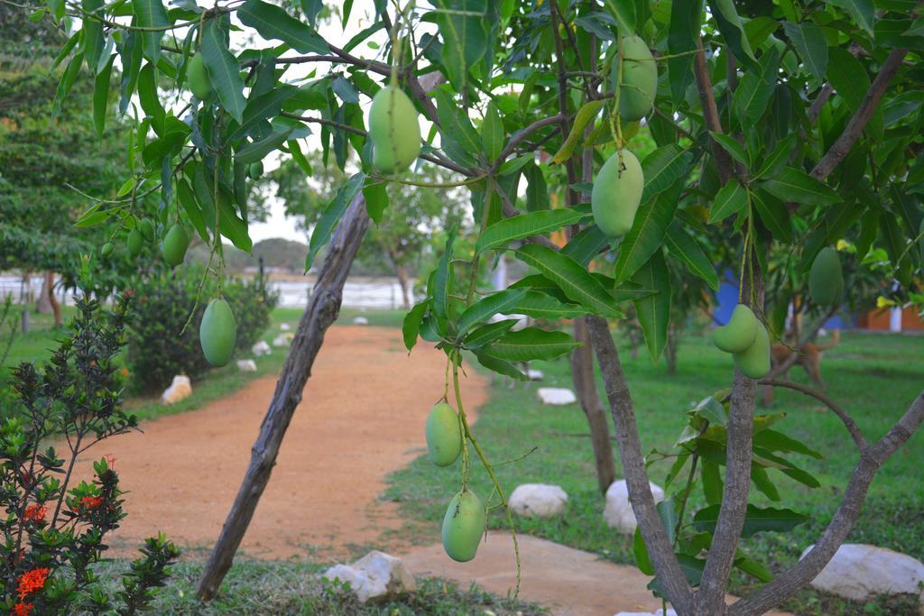 Serenity Lake Resort Yala Tissamaharama Exterior photo